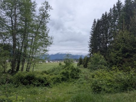 PXL_20250507_095739452 (Mittel)