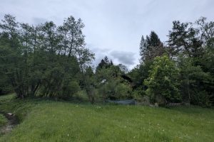 PXL_20250507_100204600 (Mittel)